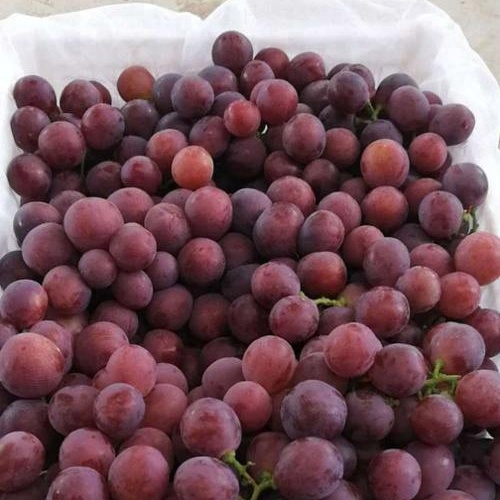 Fresh Grapes - Image 2