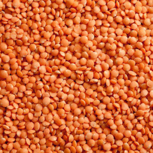 Masoor Dal