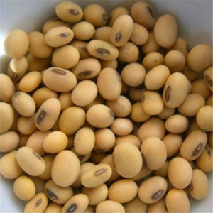 Soybeans