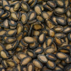 Melon Seed