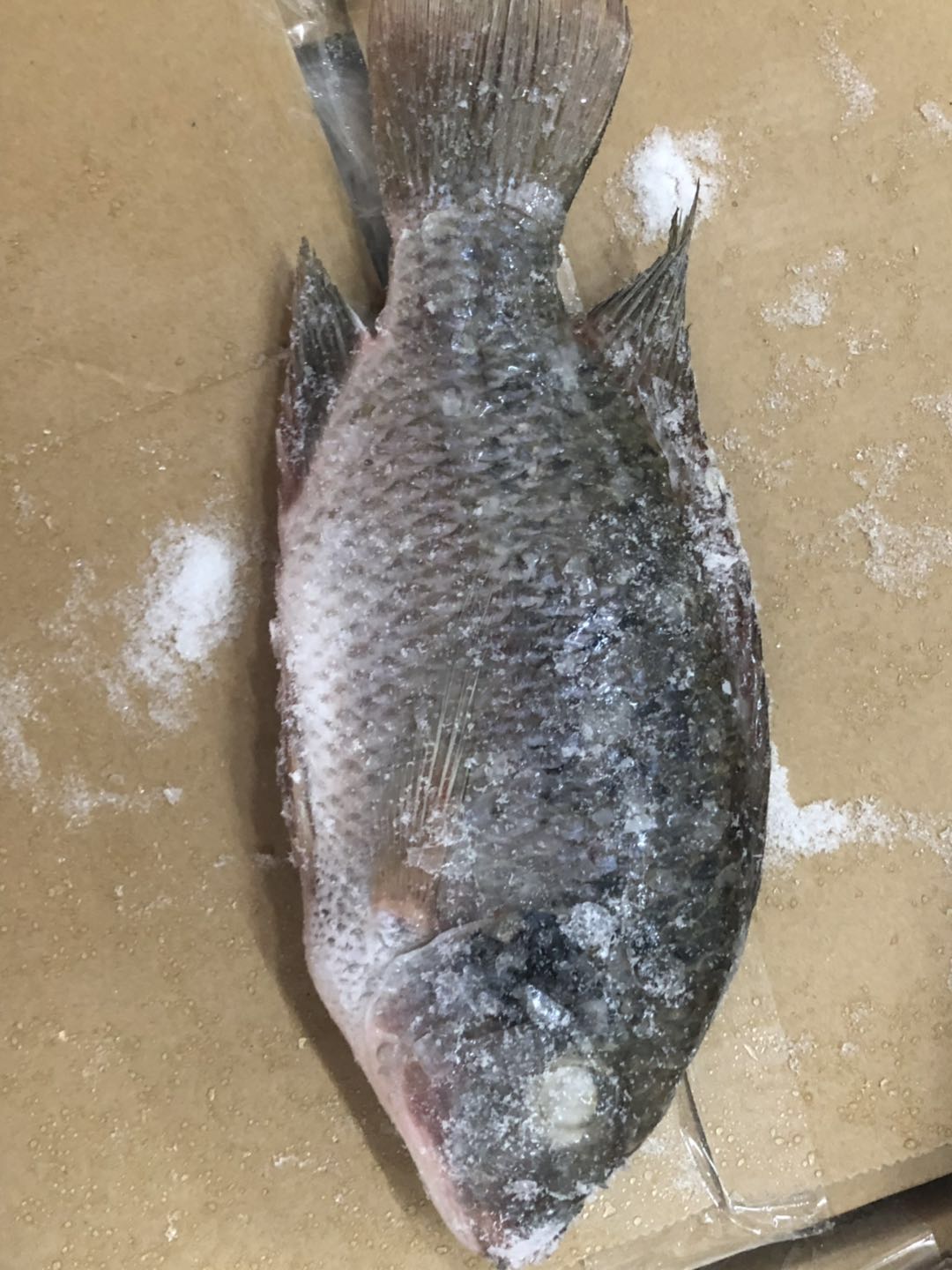 Frozen Tilapia Fish - Image 2